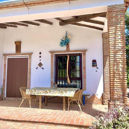 Finca Rural Mazuqueto Jubrique المظهر الخارجي الصورة