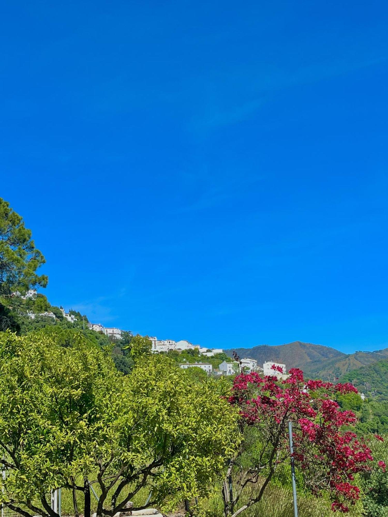 Finca Rural Mazuqueto Jubrique المظهر الخارجي الصورة